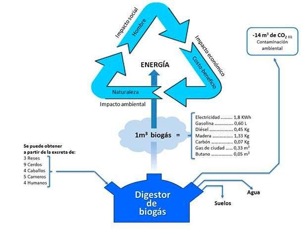 El-biogás-en-el-contexto-de-la-ingeniería-agrícola